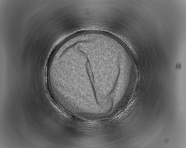 X0000099500982200806121411