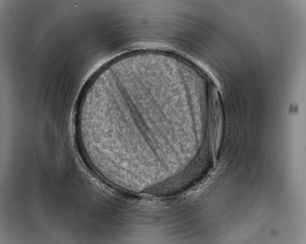 X0000099500983200806121411