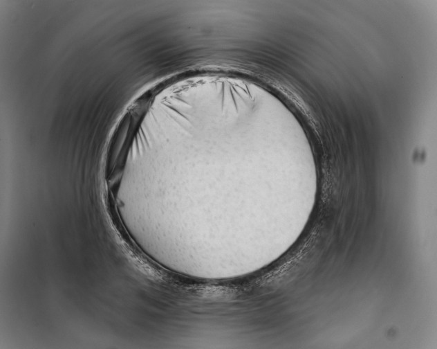 X0000099500984200806121411