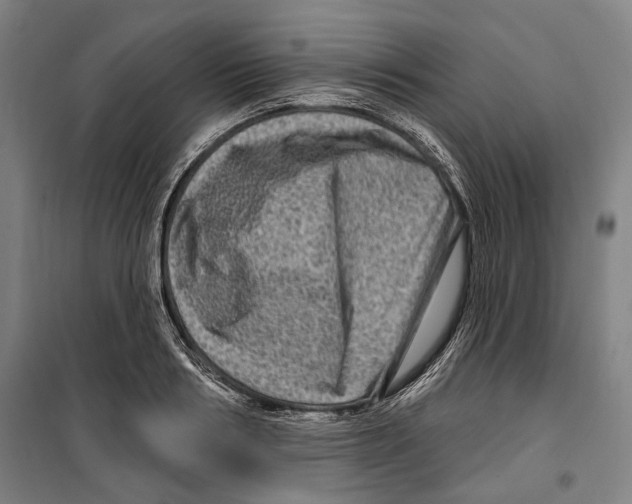 X0000099500986200806121411