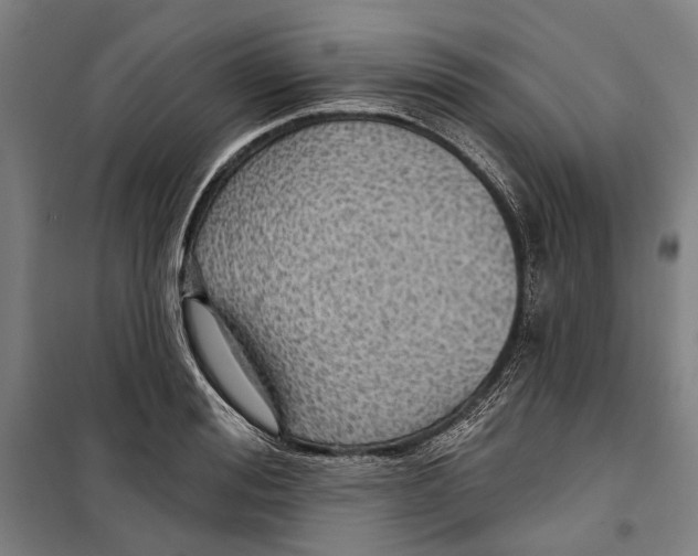 X0000099500988200806121411