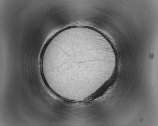 X0000099500990200806121411