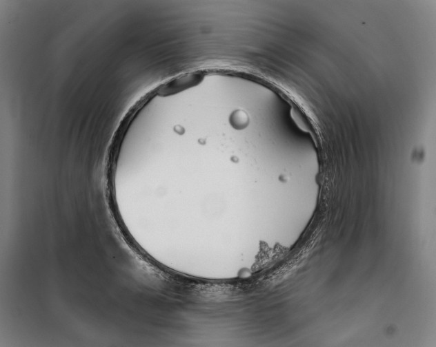 X0000099500991200806121411