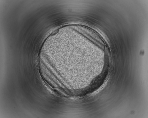 X0000099500993200806121411