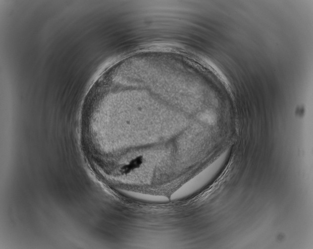 X0000099500994200806121411