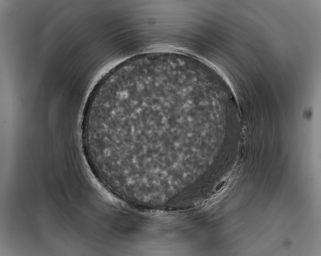 X0000099500995200806121411