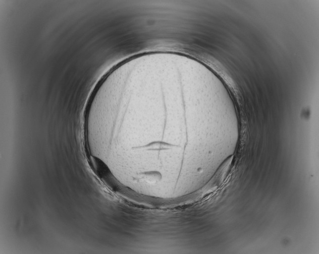 X0000099500996200806121411