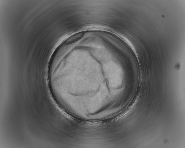 X0000099500997200806121411