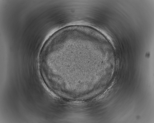 X0000099500998200806121411