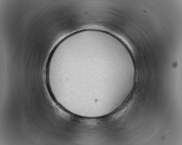 X0000099500999200806121411