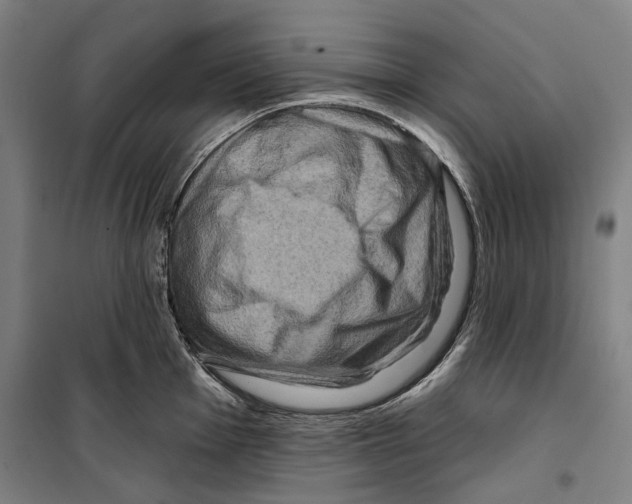 X0000099501001200806121411