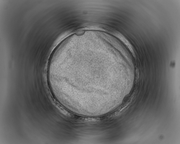 X0000099501002200806121411