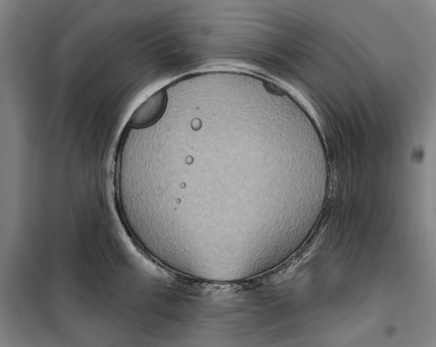 X0000099501003200806121411