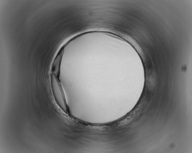 X0000099501004200806121411