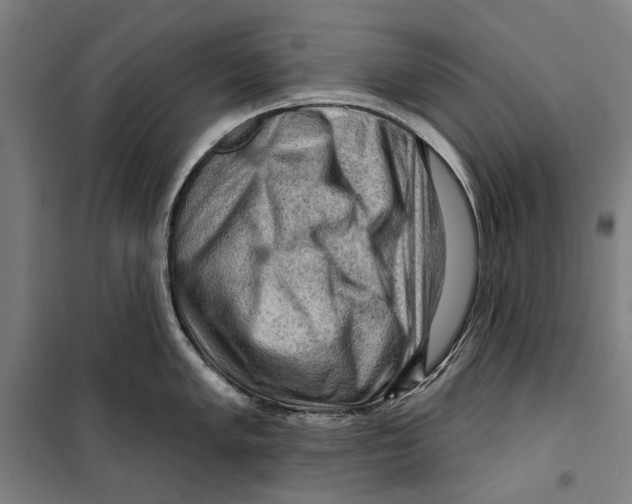 X0000099501005200806121411