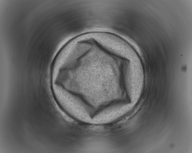 X0000099501006200806121411