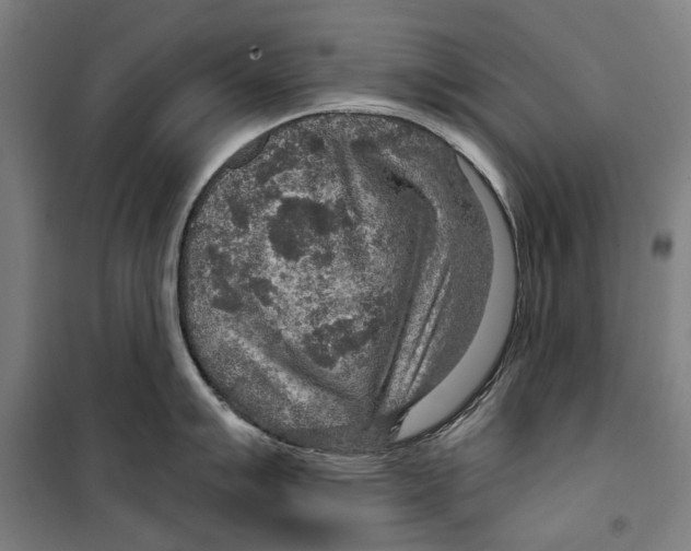 X0000099501007200806121411