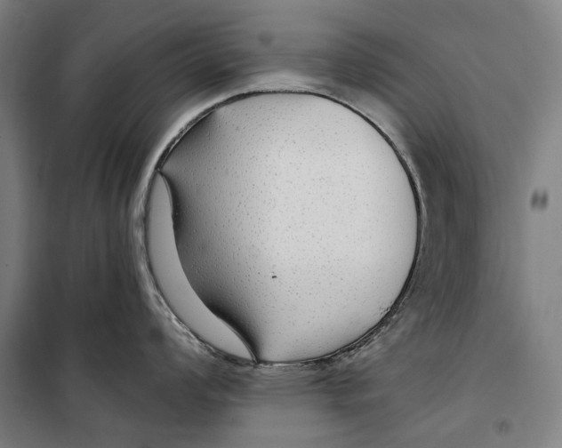 X0000099501008200806121411