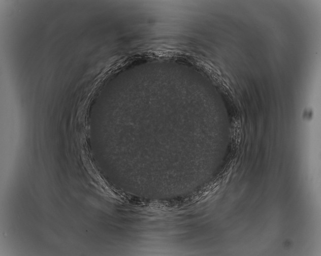 X0000099501009200806121410