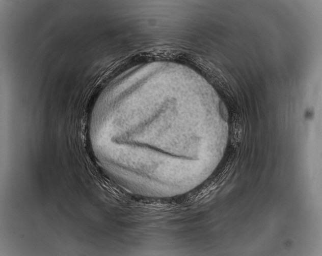 X0000099501010200806121410