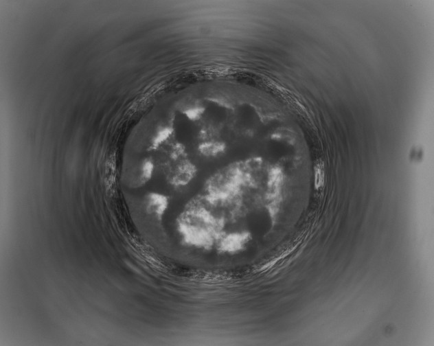 X0000099501011200806121410