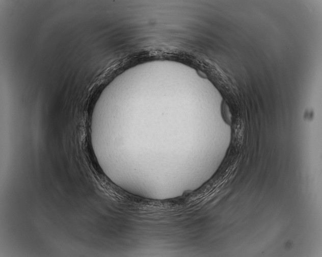 X0000099501012200806121410