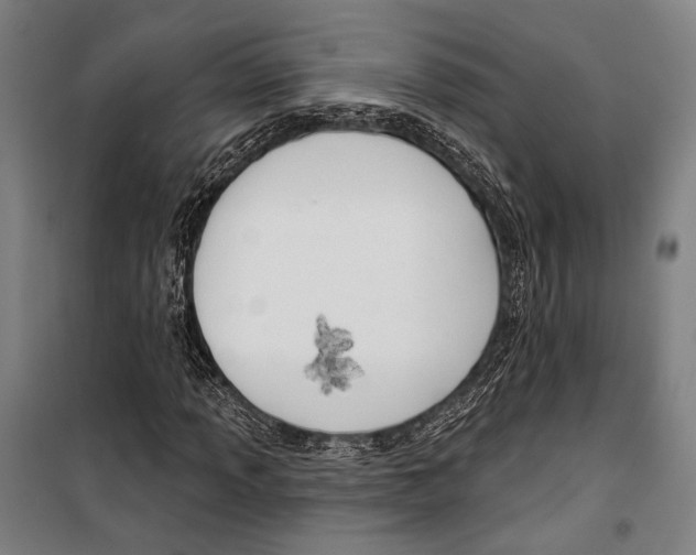 X0000099501013200806121410