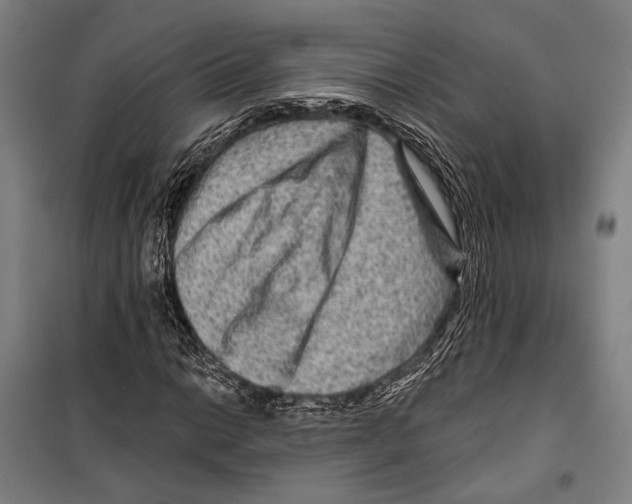 X0000099501014200806121410