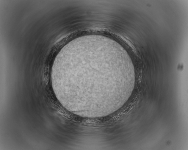 X0000099501015200806121410