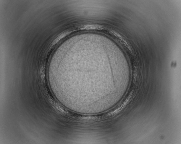 X0000099501017200806121410