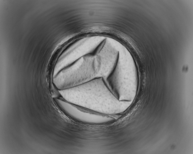 X0000099501018200806121410