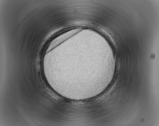 X0000099501019200806121410