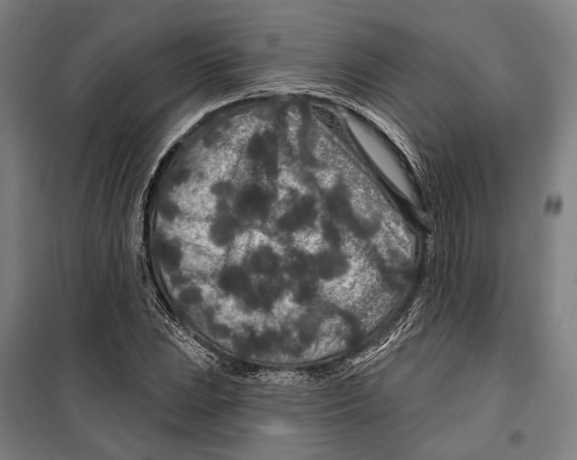 X0000099501023200806121410