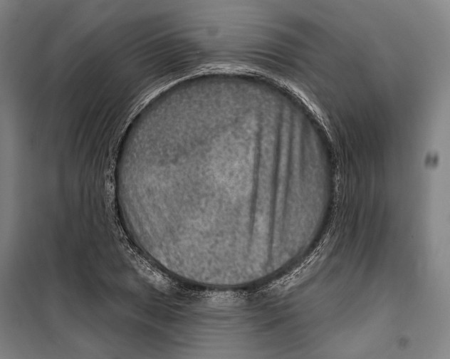 X0000099501025200806121411