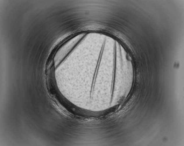 X0000099501026200806121411