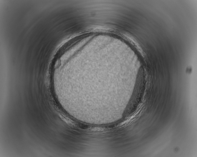 X0000099501027200806121411