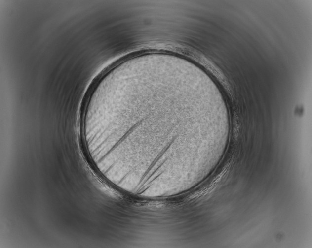 X0000099501028200806121411