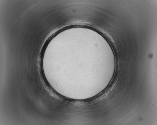 X0000099501029200806121411