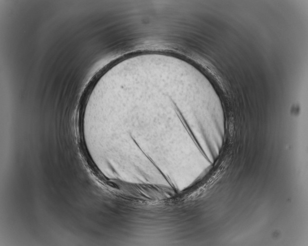 X0000099501030200806121411