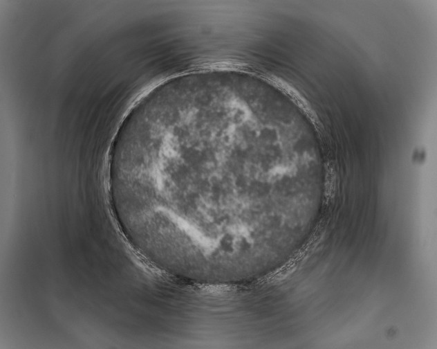 X0000099501031200806121411