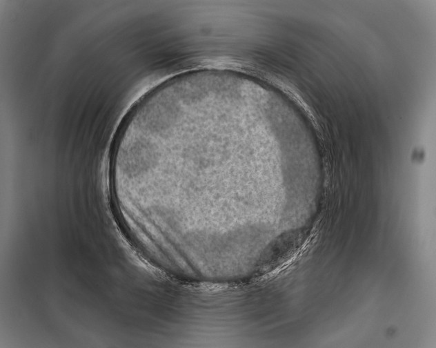 X0000099501032200806121411