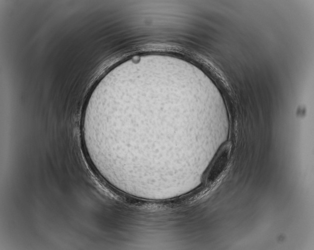 X0000099501033200806121411