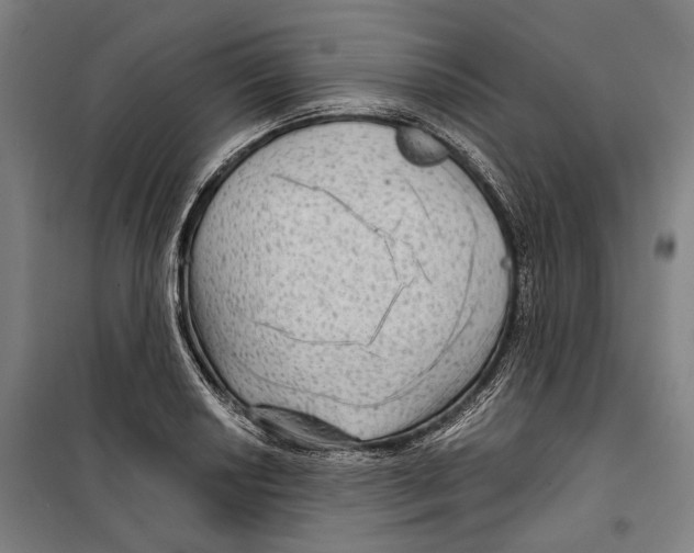 X0000099501034200806121411