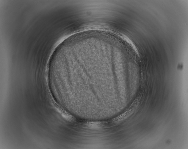 X0000099501035200806121411