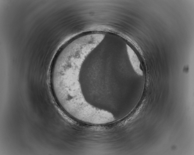 X0000099501037200806121411