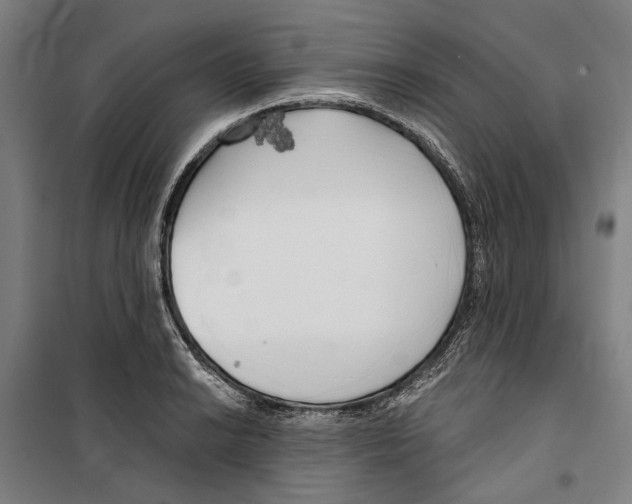 X0000099501038200806121411