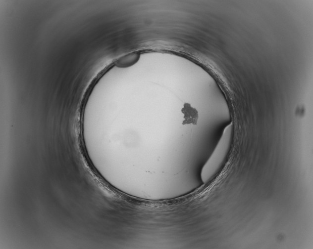 X0000099501040200806121411