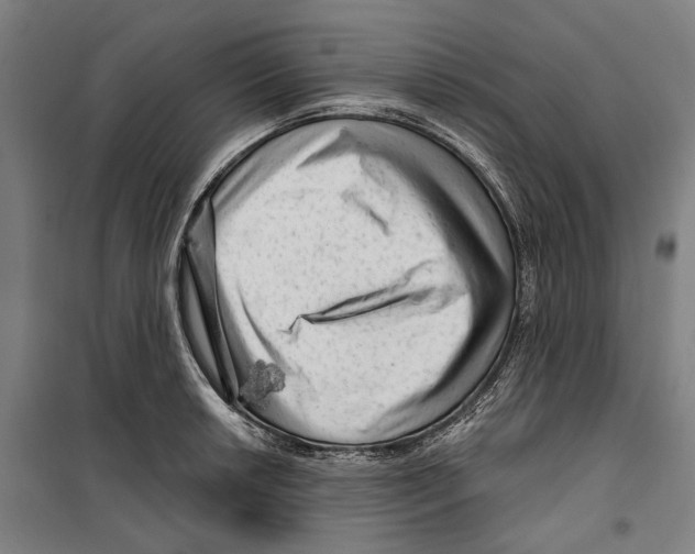 X0000099501042200806121411