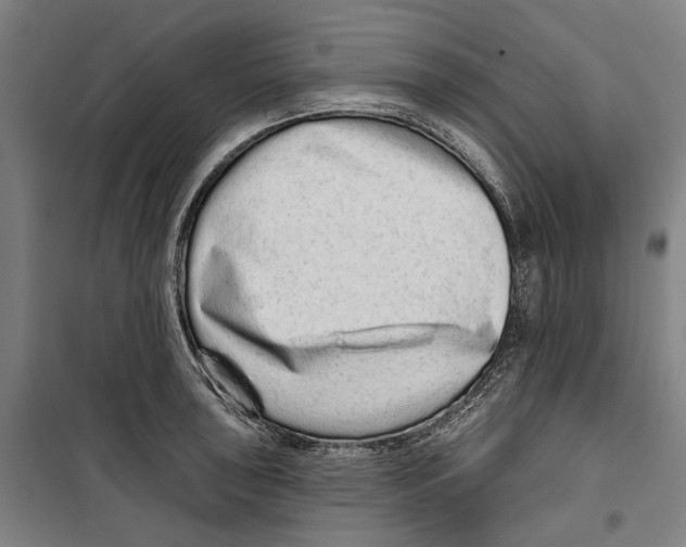 X0000099501043200806121411