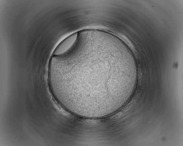 X0000099501044200806121411